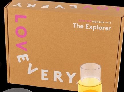 Spielzeuge: Lovevery Play Kit The Explorer Months 9-10 – Gebraucht aus Glattpark (Opfikon) von violentien