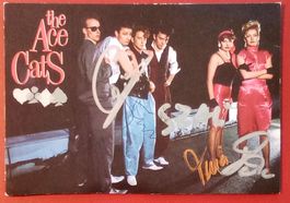 The Ace Cats 1985 Autogramm signiert Foto 10x15cm