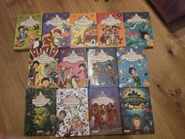 13 Schule der magischen Tiere Bücher 