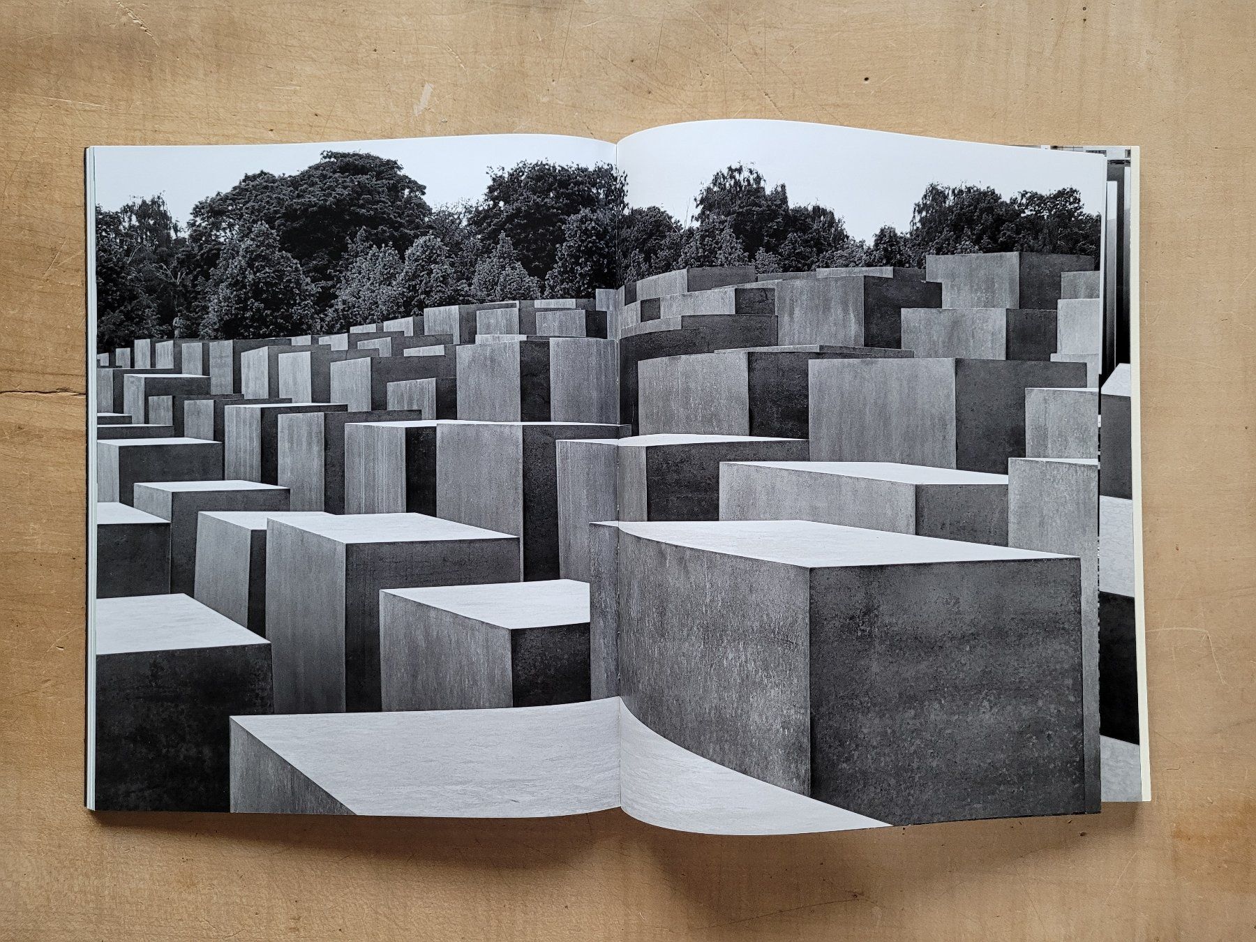 Libri: Holocaust Mahnmal Berlin. Eisenman Architects – Usato da Zürich venduto da Engiadinabassa 3