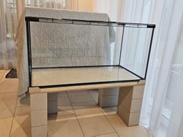 Rennmaus Terrarium mit Gitterdeckel