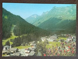Morgins