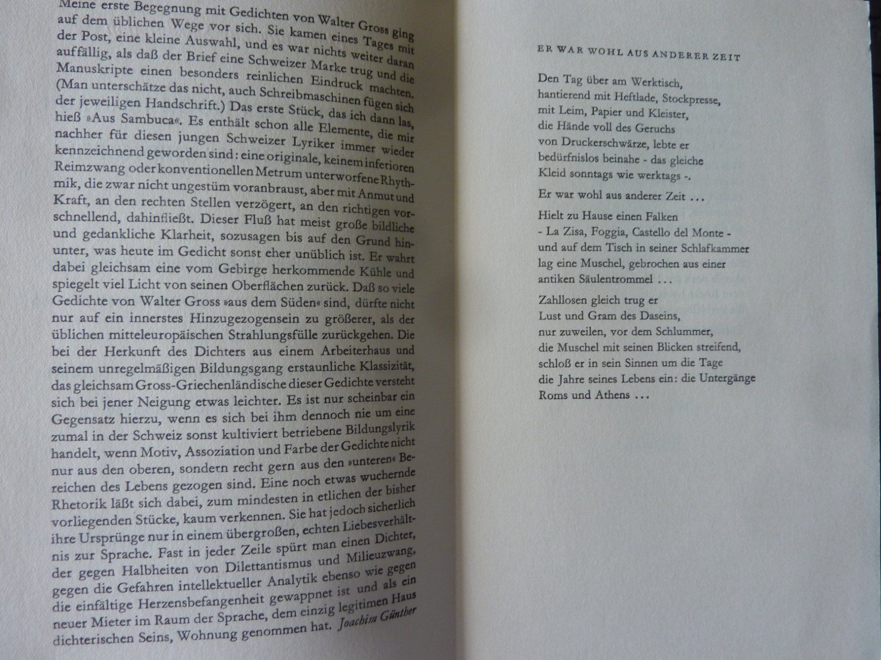 Libri: WALTER GROSS. BOTSCHAFTEN NOCH IM STAUB : GEDICHTE, WIDMUNG – Usato da Zürich venduto da Rrehsuah 3