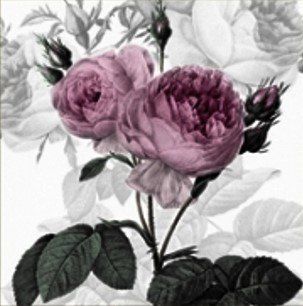 Tovaglioli: 2 Serviette Vintage Purpel Rose – Nuovo (secondo la descrizione) da Basel venduto da Happybaer