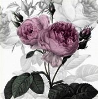 2 Serviette Vintage Purpel Rose