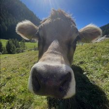 Profile image of heinrich.lena.maria