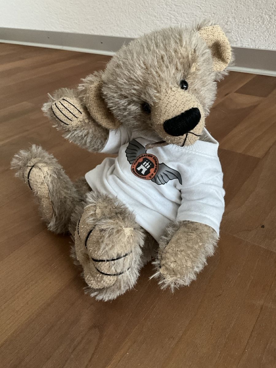 Giocattoli: Teddybär Danilo, handgefertigt – Nuovo (secondo la descrizione) da Schmitten FR venduto da Chili58 3