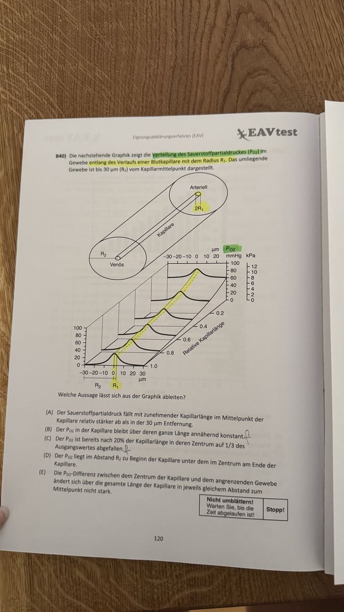 Bücher: EAVtest Eignungsabklärungsverfahren Übungsbuch – Gebraucht aus Flawil von _piccolina 4
