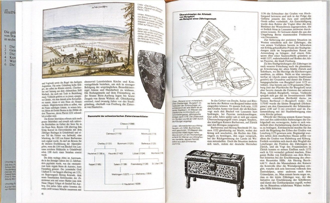 Bücher: Meyer Peter, Berner - Deine Geschichte – Gebraucht aus Sarnen von Livres 9