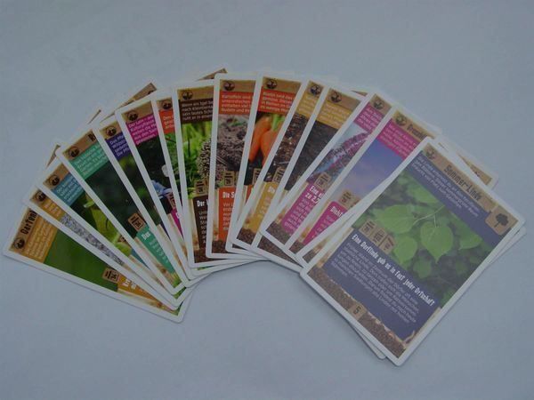 Coop Carte collezionabili: Coop Abenteuer GARTEN, Sammelkarten – Nuovo (secondo la descrizione) da Rothrist venduto da heinrich1966