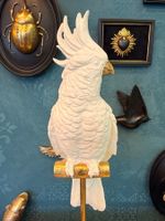 Kakadu Dekoration Statue Büste Vogel Papagei Figur Skulptur