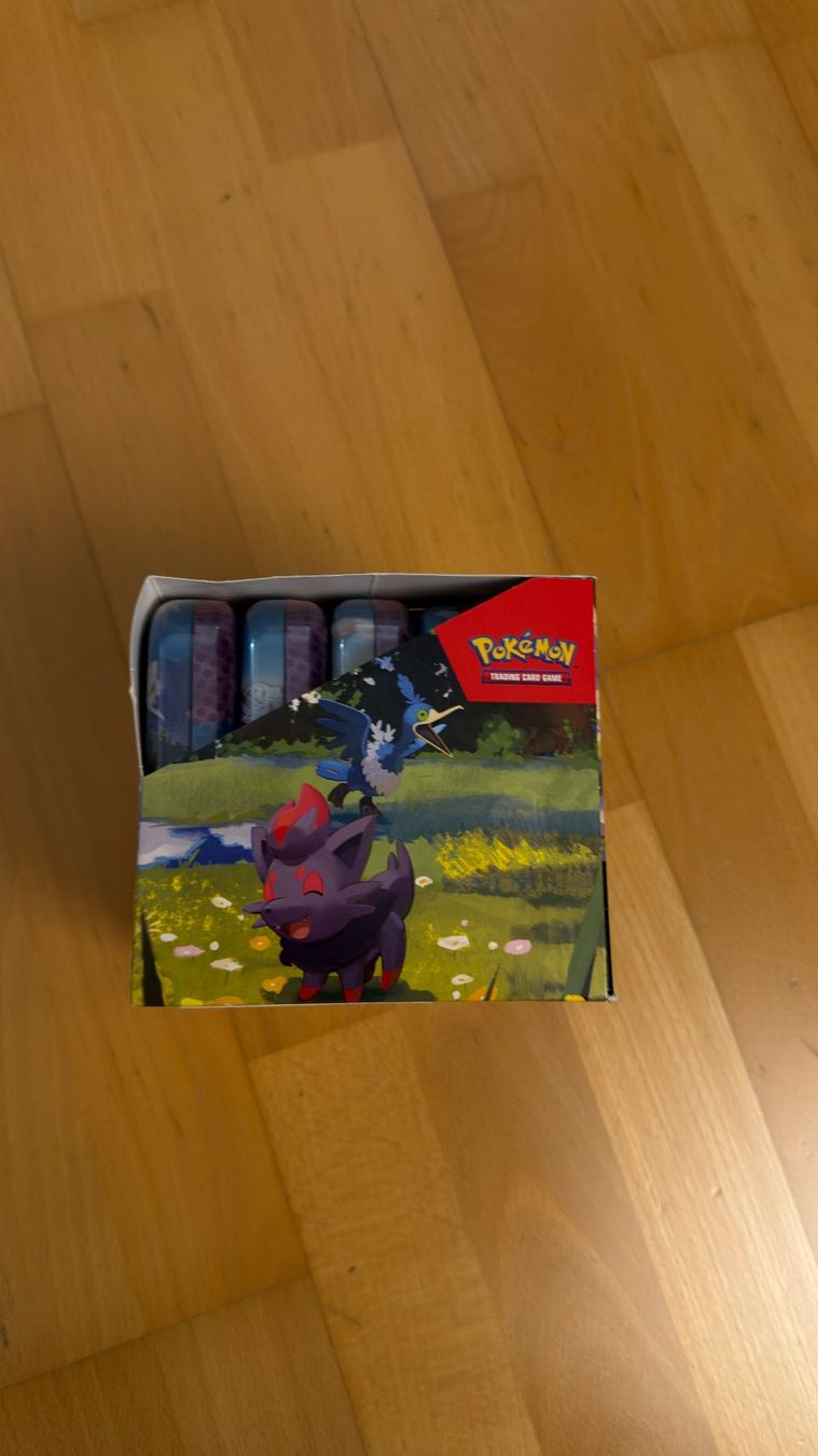 Pokémon Carte collezionabili: Pokemon Ascended Heros Mini Tin Display – Nuovo e nell'imballaggio originale da Zürich venduto da raimundo28 3
