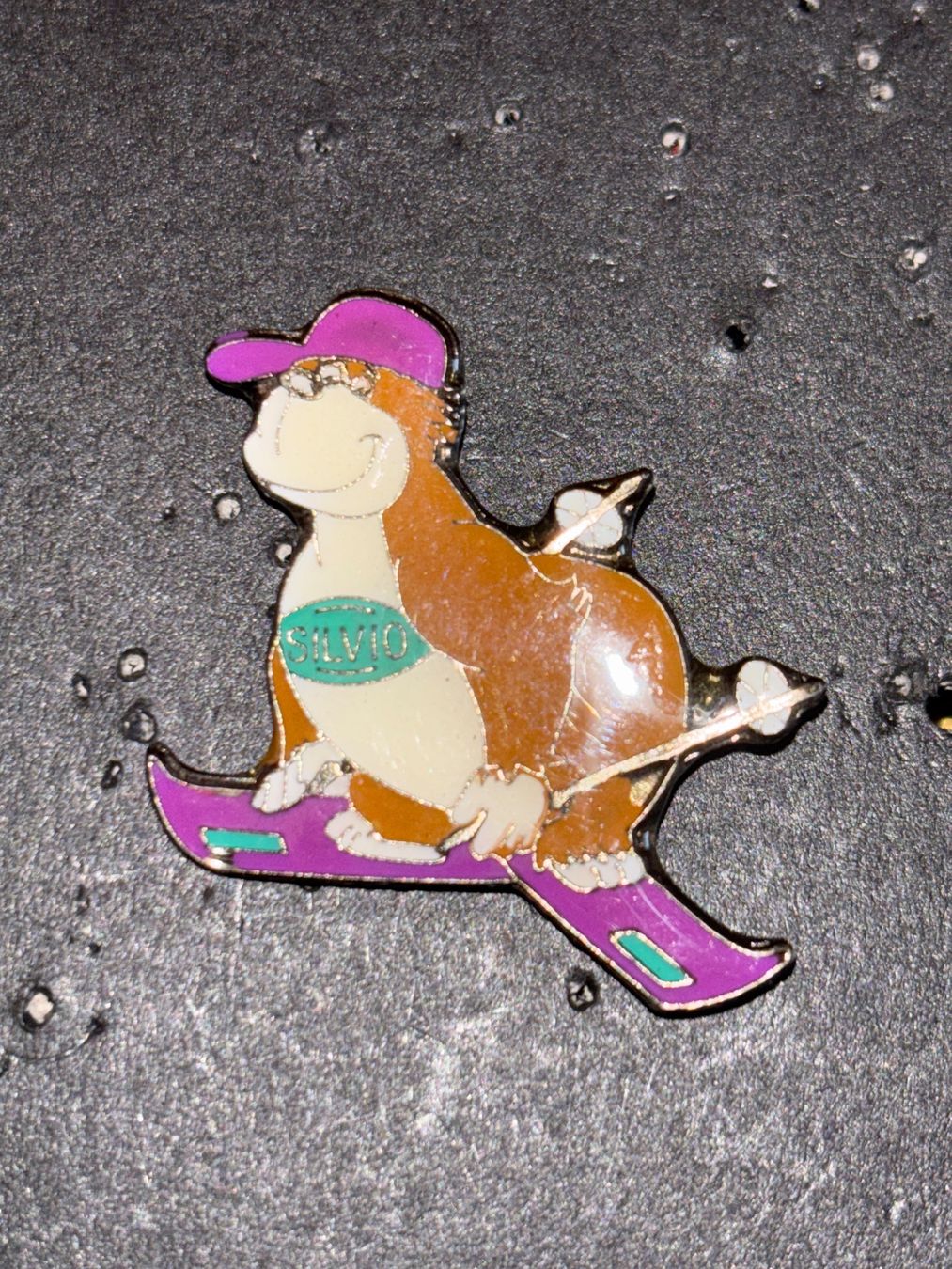 Plaketten & Abzeichen: Pin Tier auf Skis – Gebraucht aus Lützelflüh-Goldbach von NicoleL.