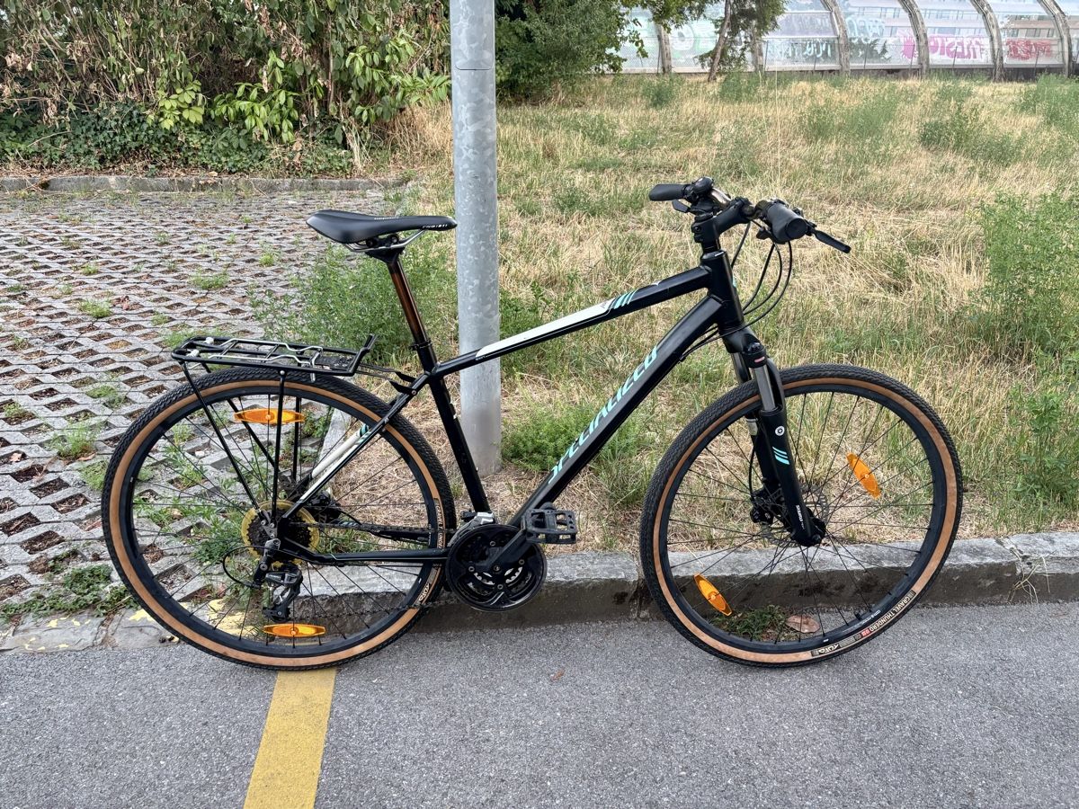 Specialized Biciclette: VTT Specialized taille L – Usato da Morges venduto da blackbirdster 2