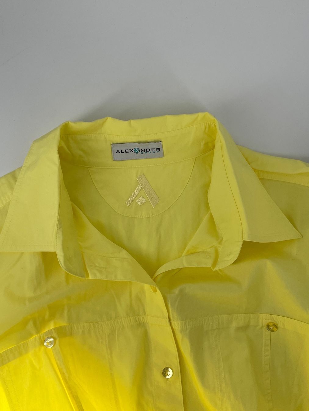 Blusen: Bluse Gr. 46 von Alexander Sport – Gebraucht aus Auenstein von moin. 4