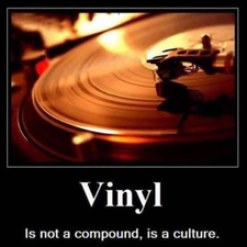 Profile image of Vinylandmote