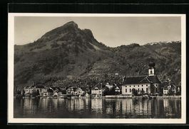 Gersau, Panorama des Ortes vor Bergspitz