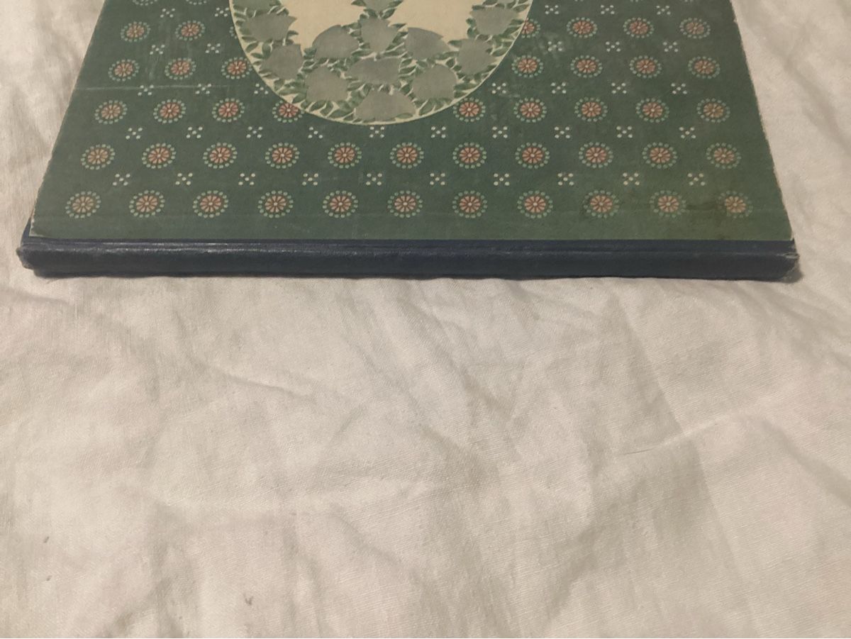 Libri: ANTIKES KINDERBUCH UM 1907 – Usato da Münchenstein venduto da NoSu98 1