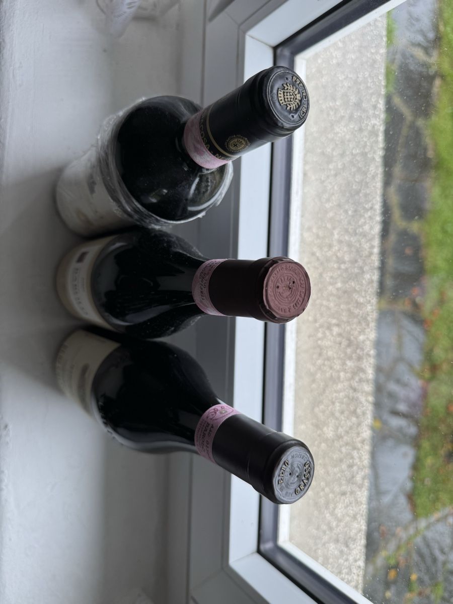 Vino: Icone Piemontesi  – Usato da Pregassona venduto da sav_tv9l 1
