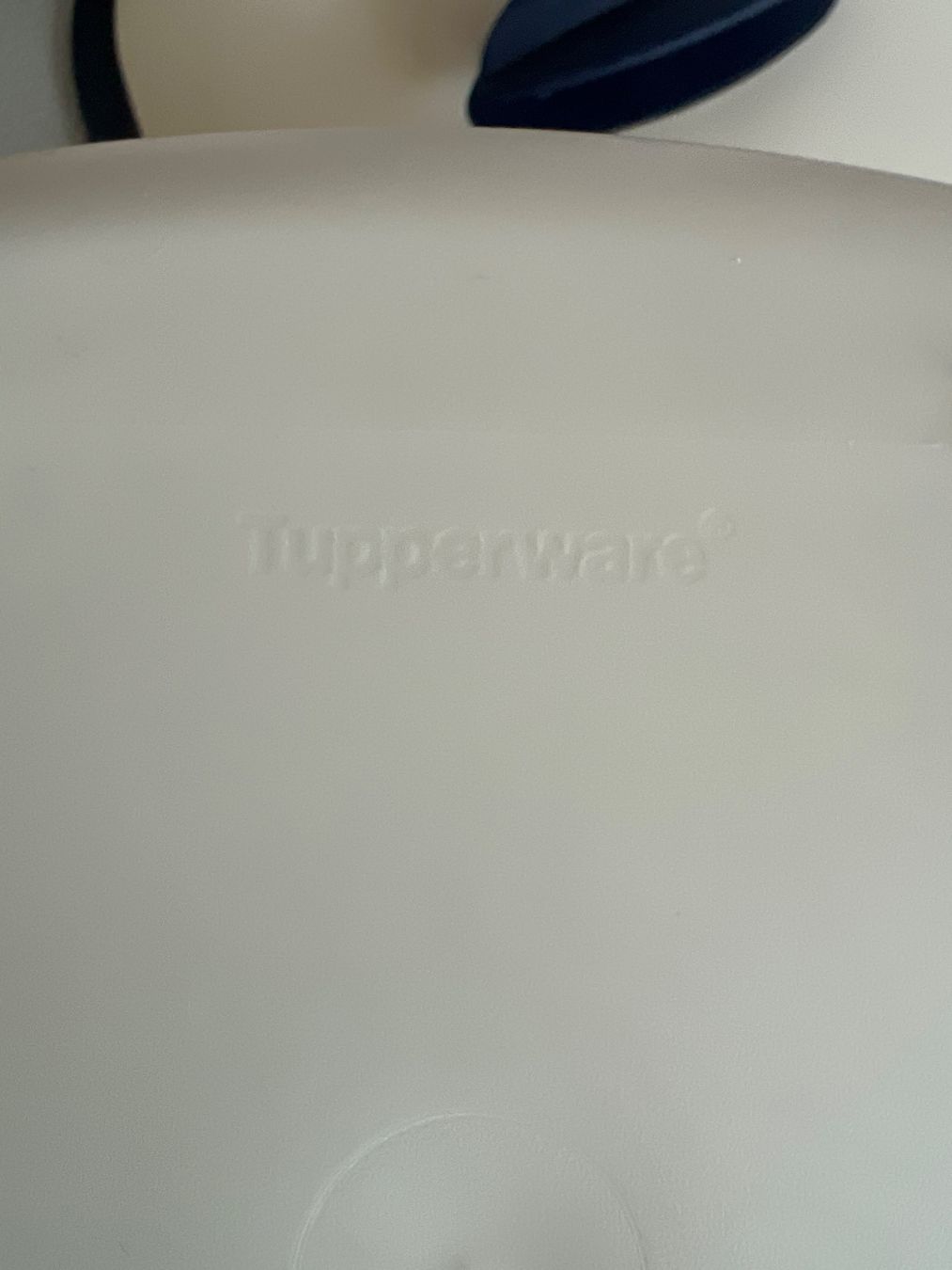 Tupperware Contenitori & Simili: Tupperware Salate oder Obst - Kühlschrankdose – Usato da Chur venduto da van_hnc6 5