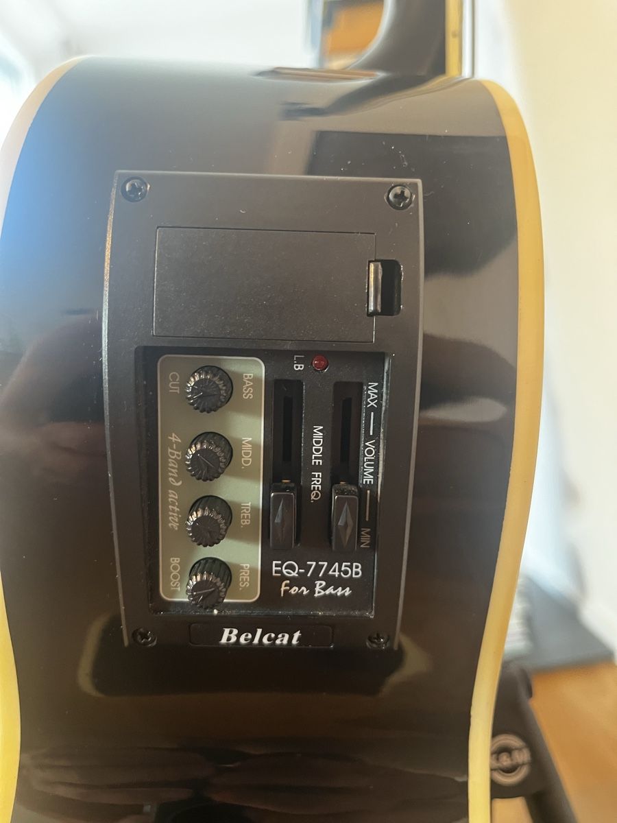 Strumenti musicali: E-Akustikbass, Johnson, mit Equalizer – Nuovo (secondo la descrizione) da Rüschlikon venduto da jul_8lpm 3