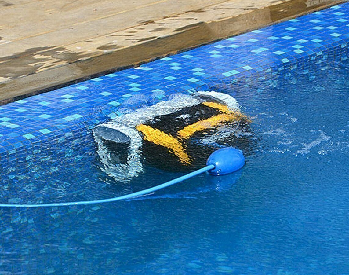 Schwimmbad-Zubehör: Dolphin E25 Poolroboter Modell 2019 – Neu und originalverpackt aus Bottighofen von zaap 5