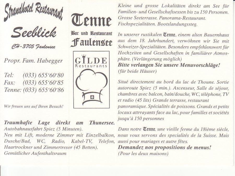 Cartoline postali: Faulensee Seeblick ca. 1990 – Usato da Bürglen TG venduto da StampGraf 1
