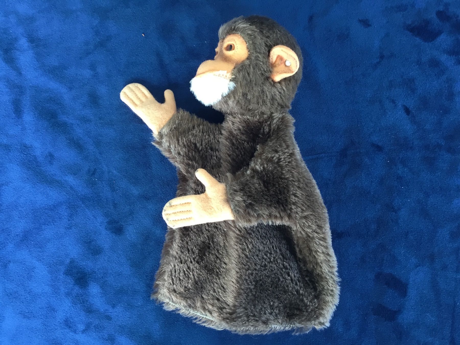 Steiff Giocattoli: Steiff Handpuppe Affe Jocko – Usato da Gossau ZH venduto da ClaudealDente 5
