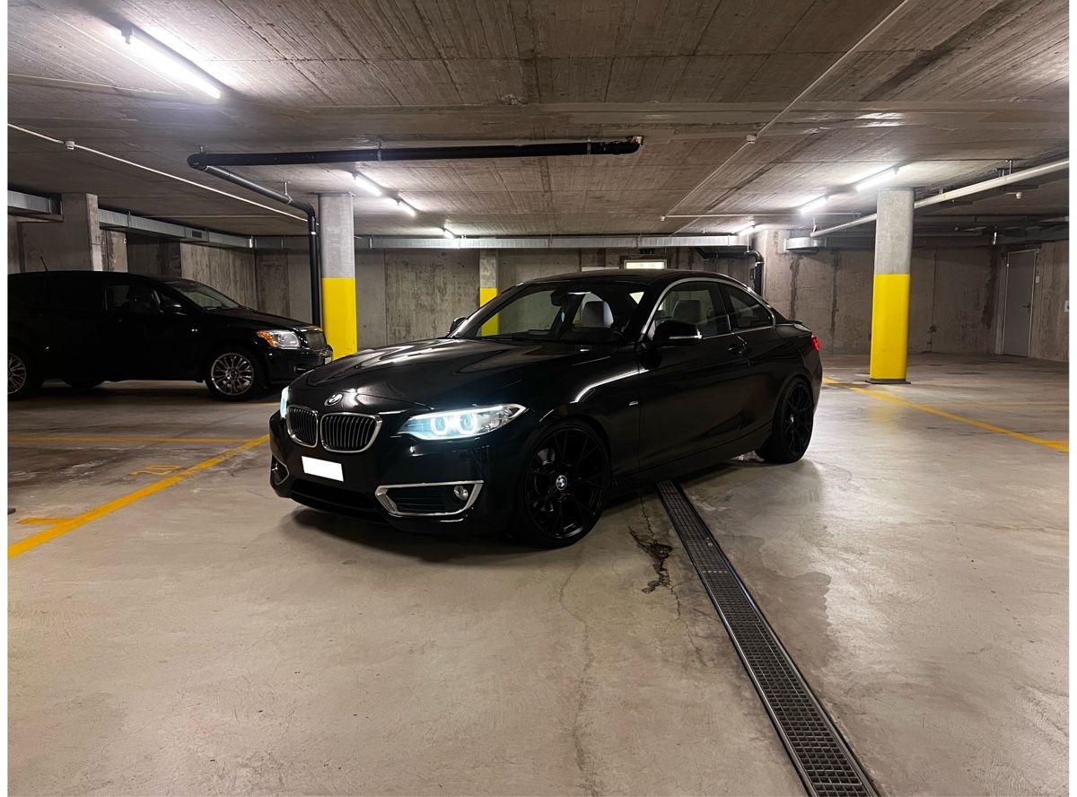 BMW Automobili: BMW 220i coupé Luxury Line – Usato da Winterthur venduto da Remysternle