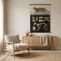 ⭐Schulwandbild „Katze“ – Jung, Koch, Quentell