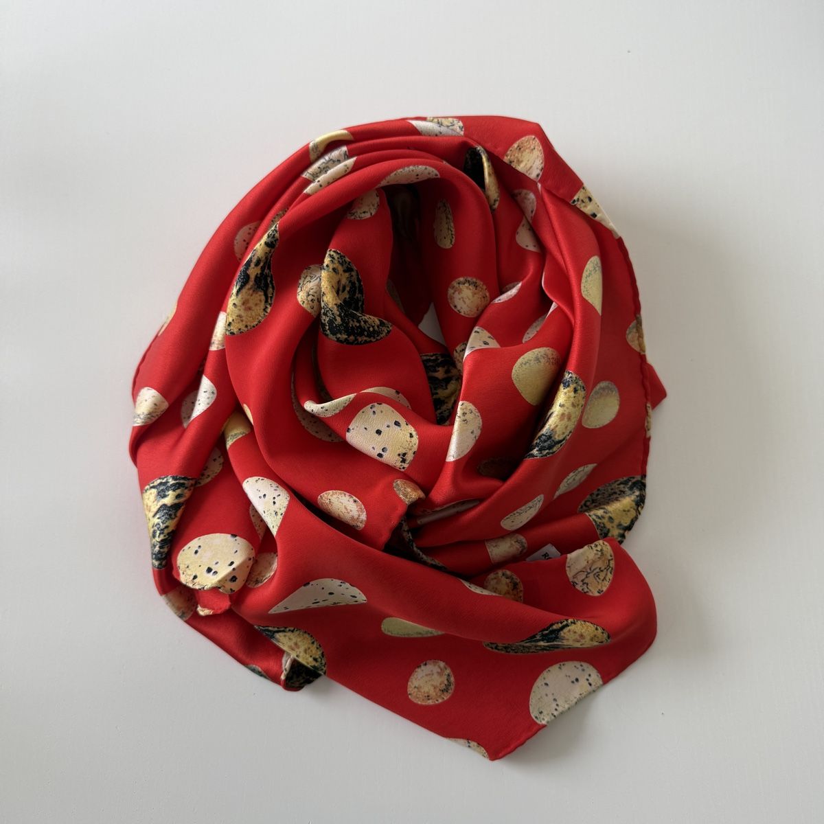Foulard & Sciarpe: ROBERTO ANGELICO Silk Scarf – Usato da Emmen venduto da Colette-Juliette 4