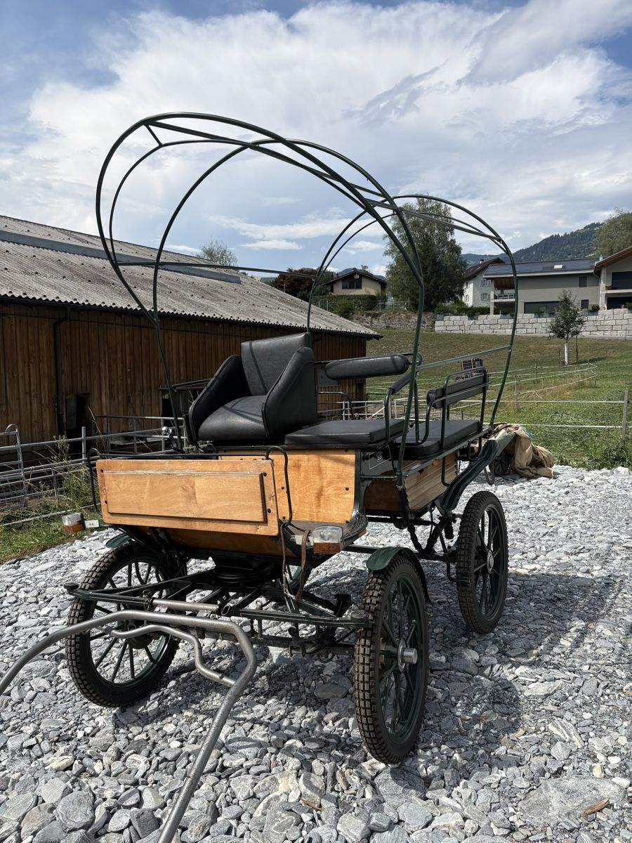 Calèches: Wagonette Planwagen Kutsche – D'occasion à Fürstenaubruck par Reddog6 2