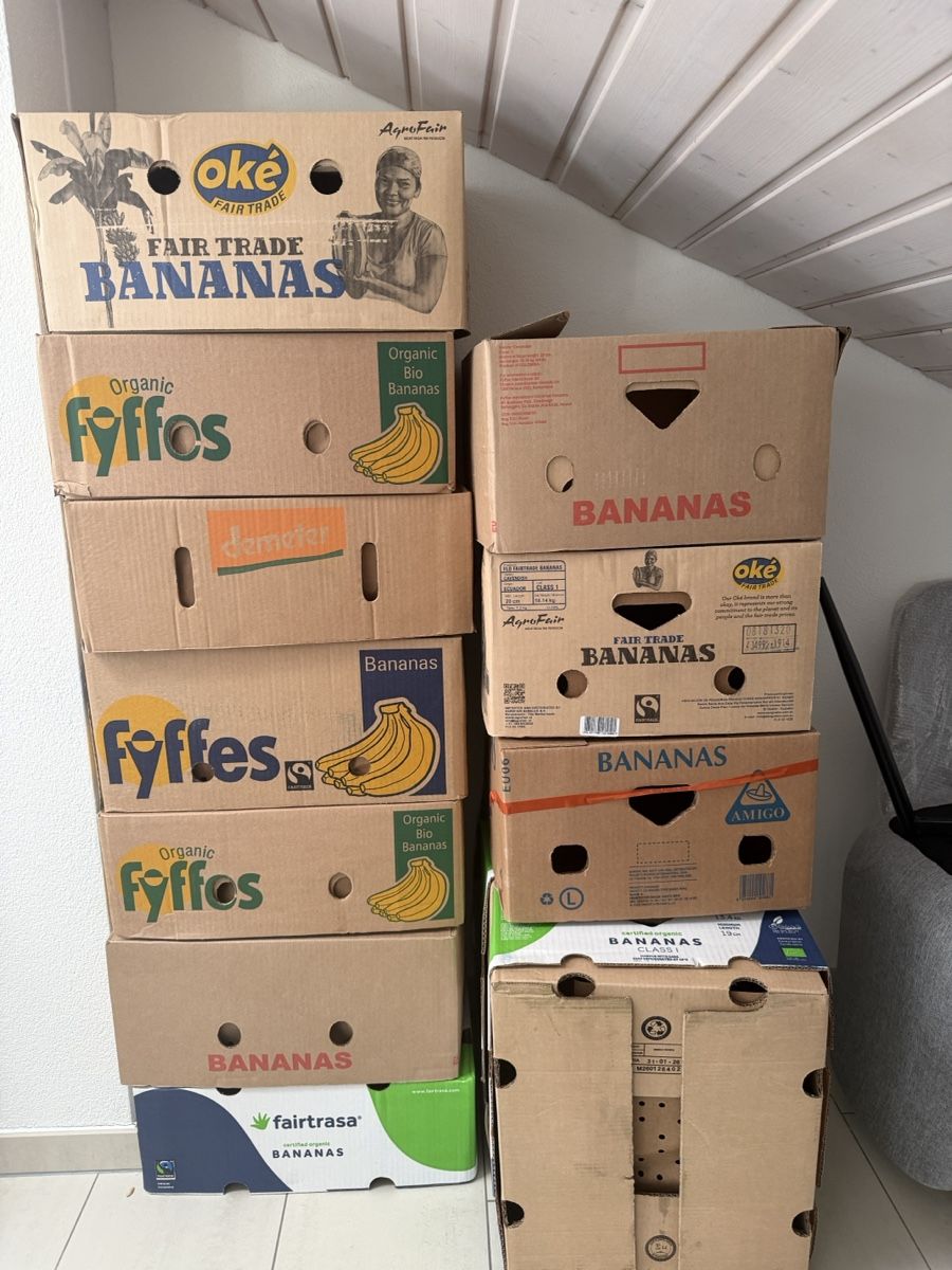 Altro in Decorazioni & Accessori: Bulk Banana Boxes – Usato da Bäch SZ venduto da ValentinaKH