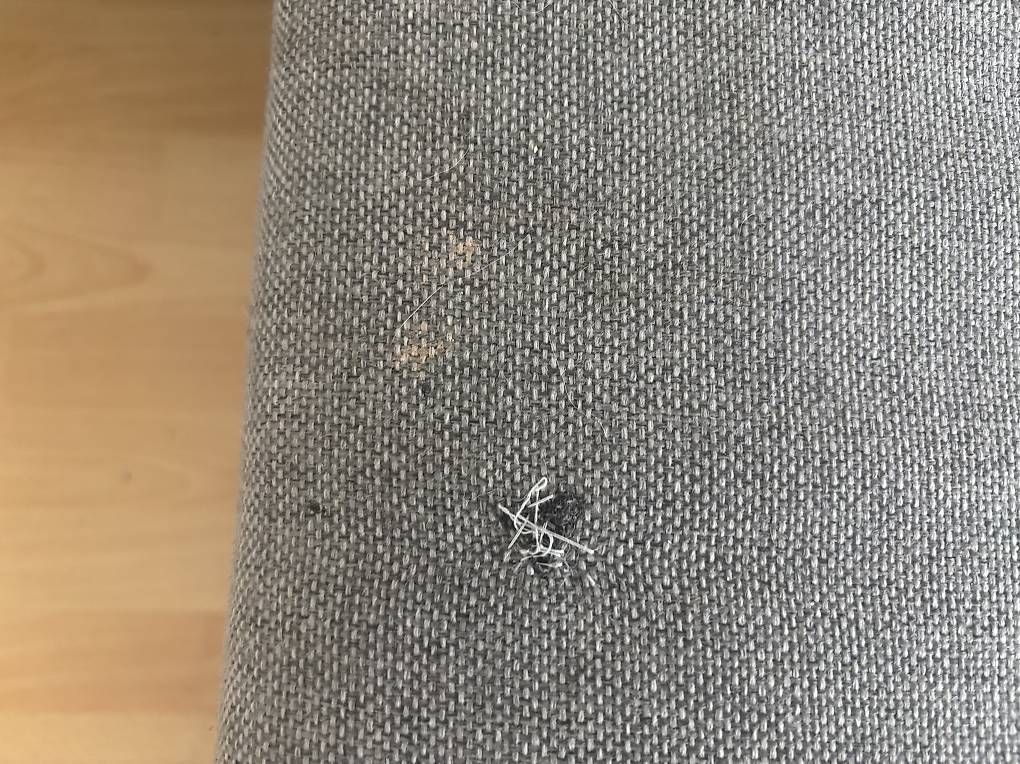 Divani: Ecksofa mit Bettfunktion – Usato da St.Gallen venduto da Pascal.Rene1981 4