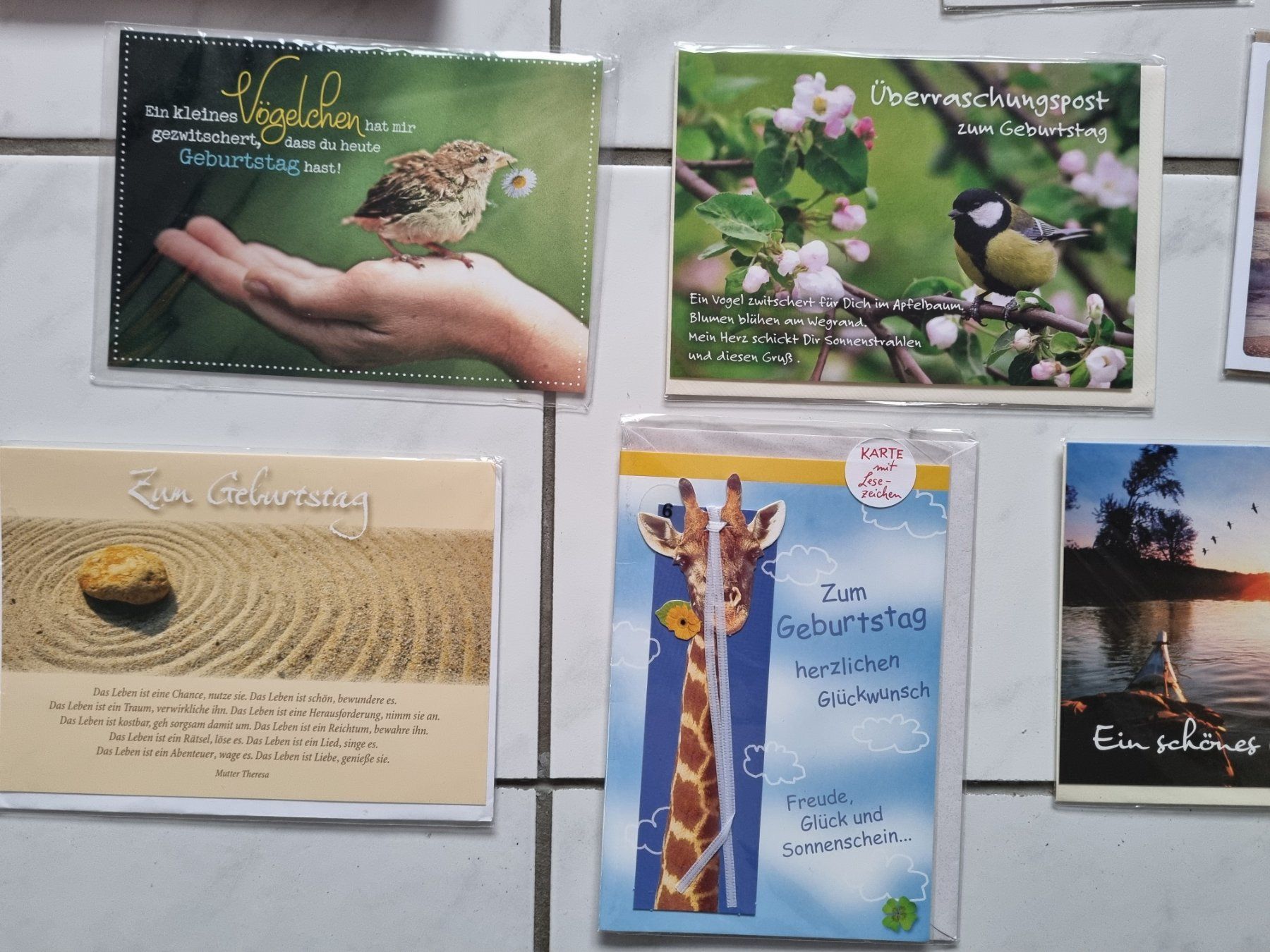 Cartoline: 19 Geburtstagskarten Glückwunschkarten – Nuovo (secondo la descrizione) da Nottwil venduto da Janny77 1