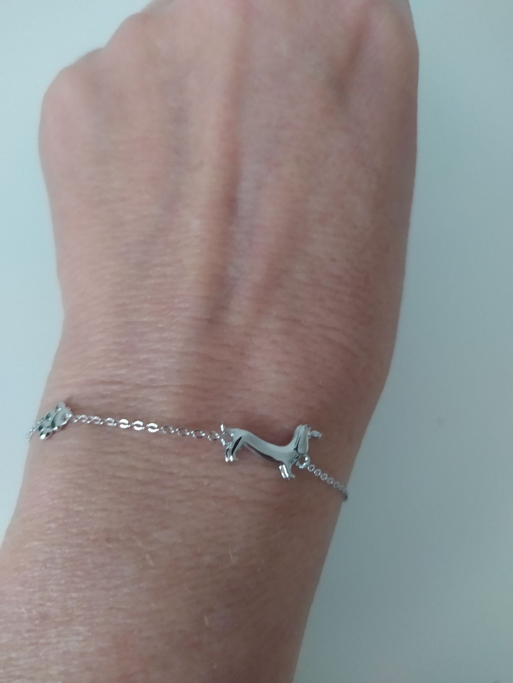 Bracciali & Braccialetti: Elegantes Silberarmband 925 "Dackel"  15-20cm – Nuovo e nell'imballaggio originale da Möhlin venduto da mik_h72m 5