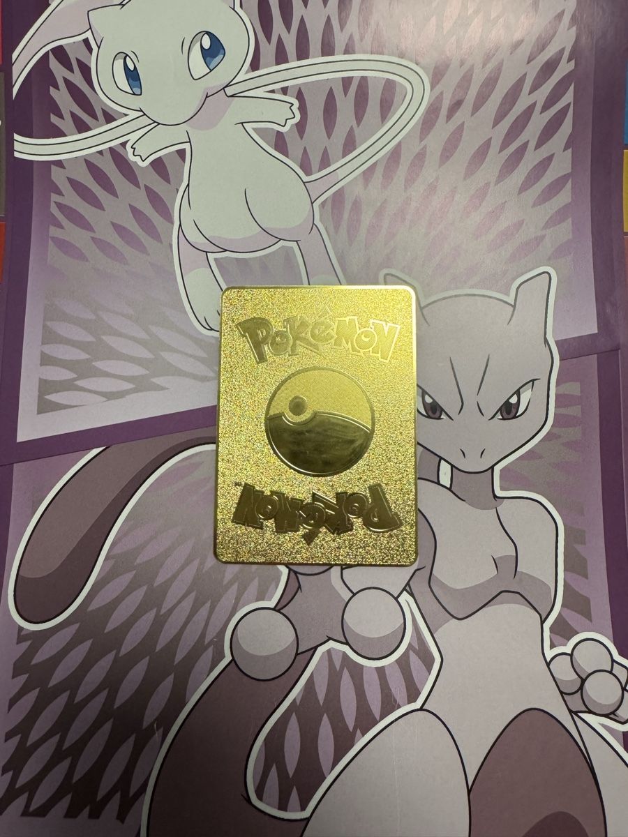 Pokémon Carte collezionabili: Pokémon Karte aus Metall – Nuovo (secondo la descrizione) da Emmenbrücke venduto da paj_q8wx 1