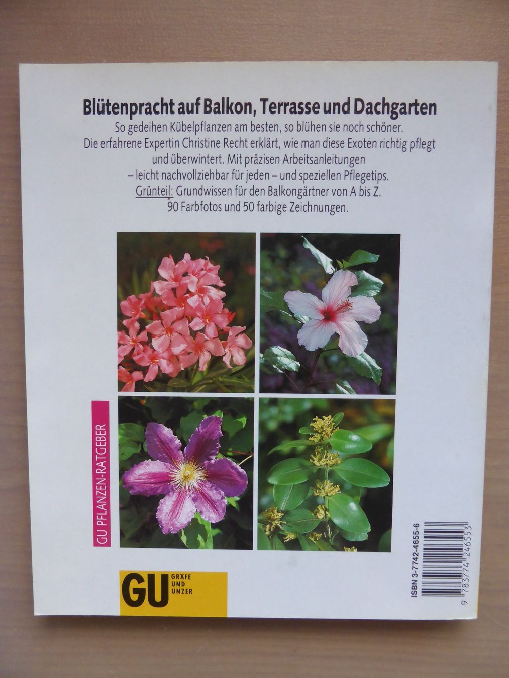 Libri: Kübel Pflanzen GU-Ratgeber – Usato da Kefikon TG venduto da sandragruen 1