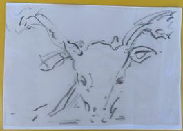 Zeichnung von Stephanie Grob 2017     (ID b3686)
