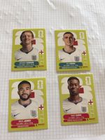 Panini ENG15 ENG16 ENG7 ENG4