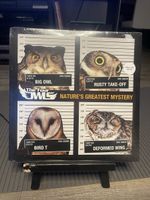 The Four Owls / Nature Greatest 