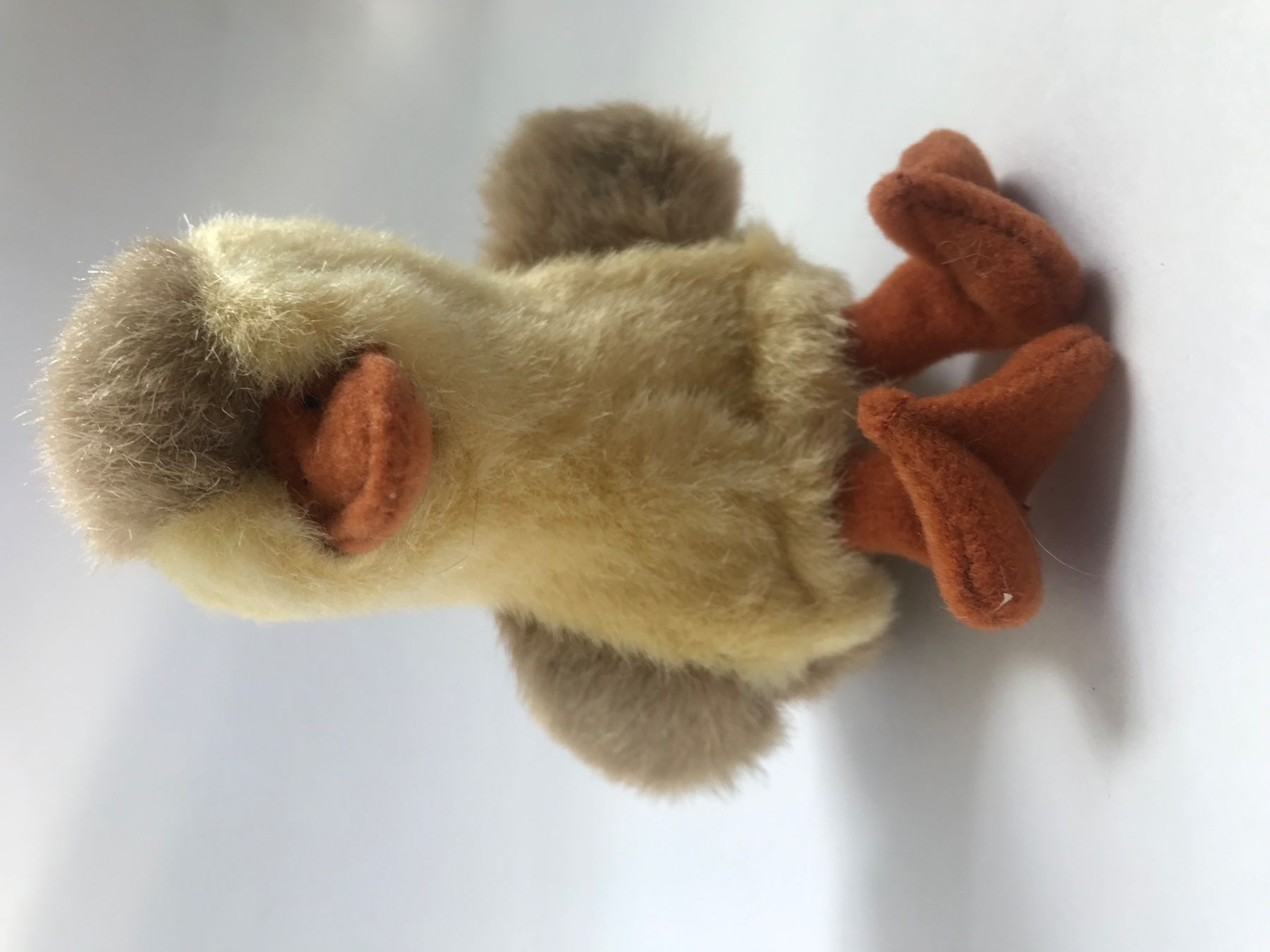 Bambole: FOLKMANIS: Fingerpuppe Entchen  / NEU – Nuovo e nell'imballaggio originale da Dürrenäsch venduto da Didaedi 3