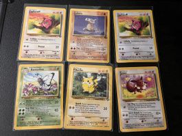 Pokemon Vintage Jungle
