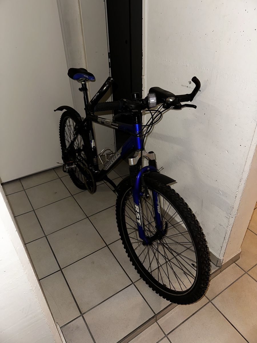 Wheeler Biciclette: Velo ab 1.- – Usato da Buochs venduto da MilaMilagro 3