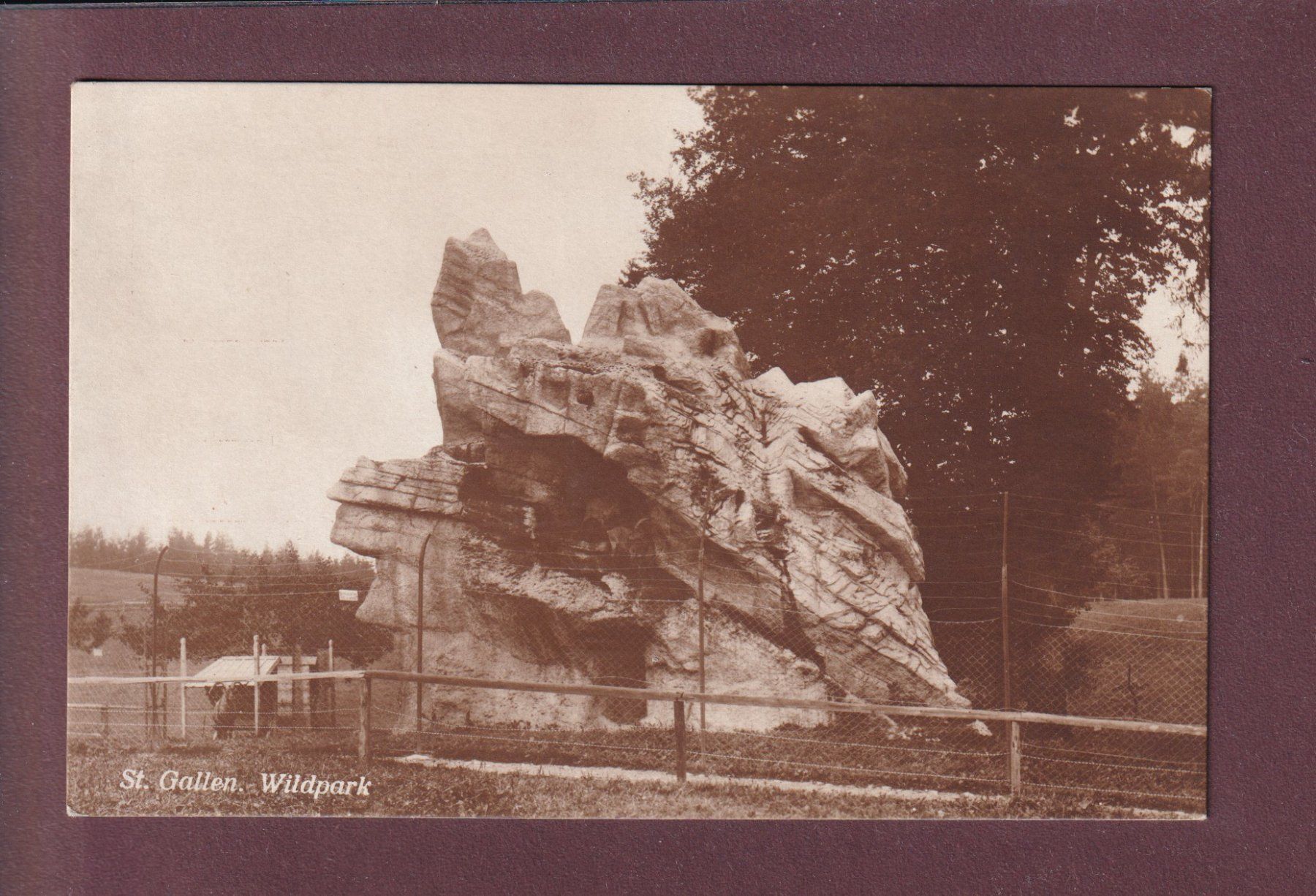 Cartoline postali: ST. GALLEN - Wildpark - Steinbockfelsen – Usato da Pully venduto da nicecards