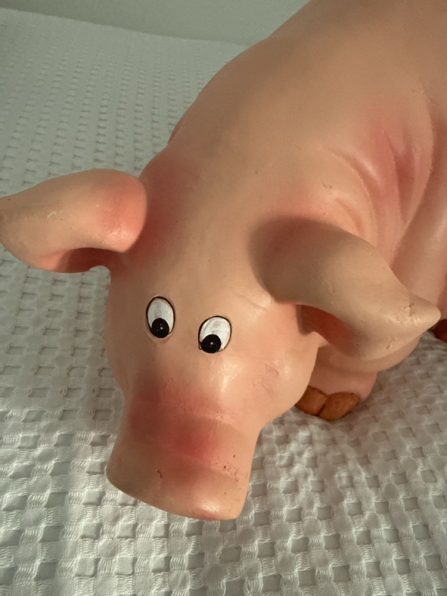 Spardosen: Sparschwein, Sparen, Schwein – Neu (gemäss Beschreibung) aus Erlinsbach von pulverschneegut 1