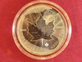 Silber Maple Leaf 1 oz - 2015