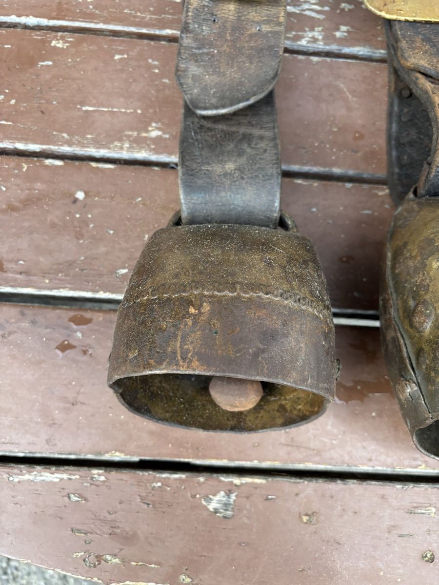 Campanacci mucche: 3 Alte Schellen – Usato da Schangnau venduto da Roseggli82 4