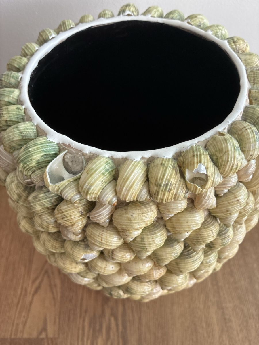 Vasi & Recipienti: Vase décoratif unique en coquillages – Usato da Herrliberg venduto da BOULBADI 3