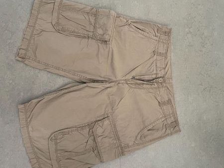 Hose